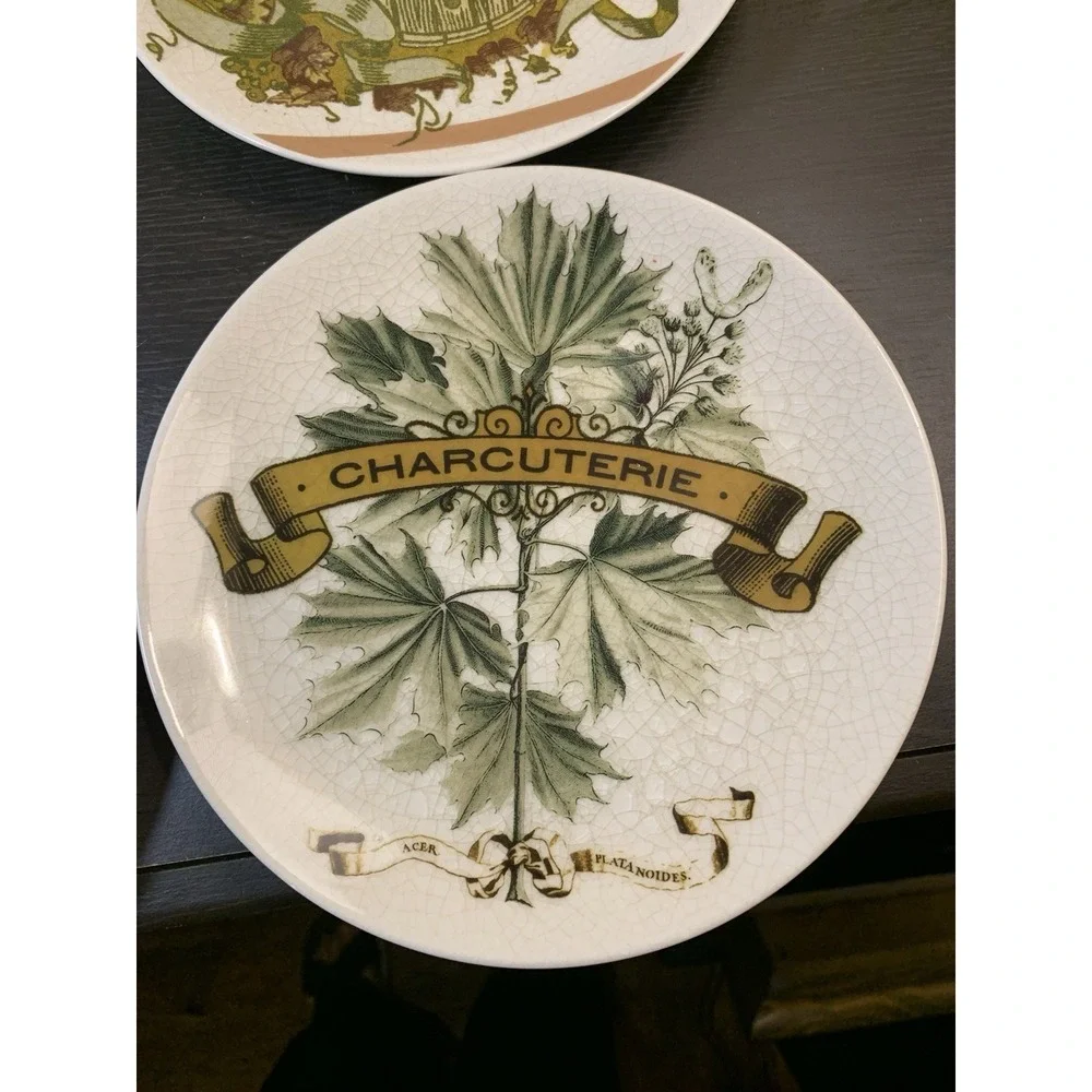 Pottery Barn Vino Plates Set of 4 French Vintage Botanical Appetizer Plates Box